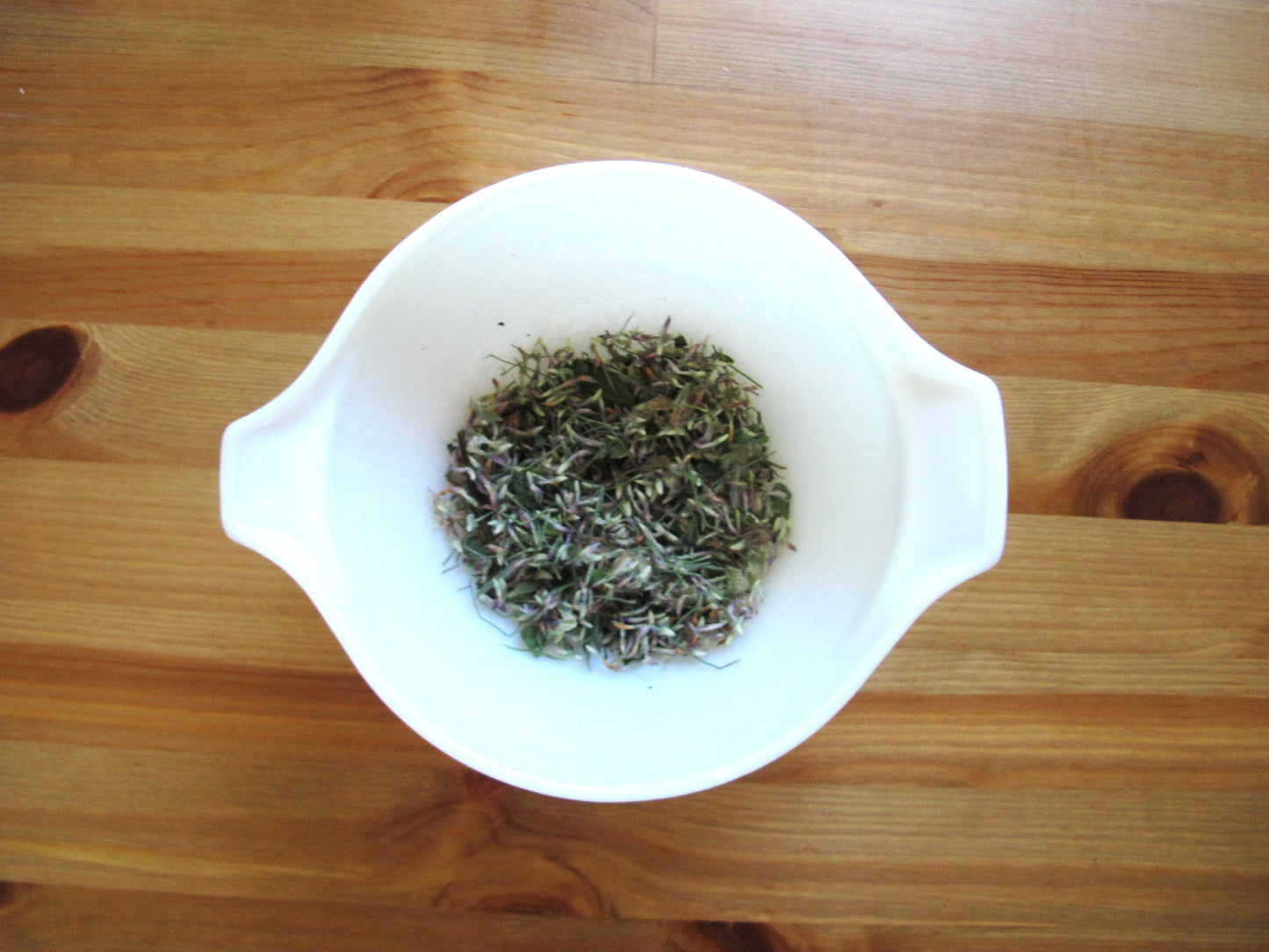 Grounded Herbal Tea – Rooted Calm from the Pacific Northwest